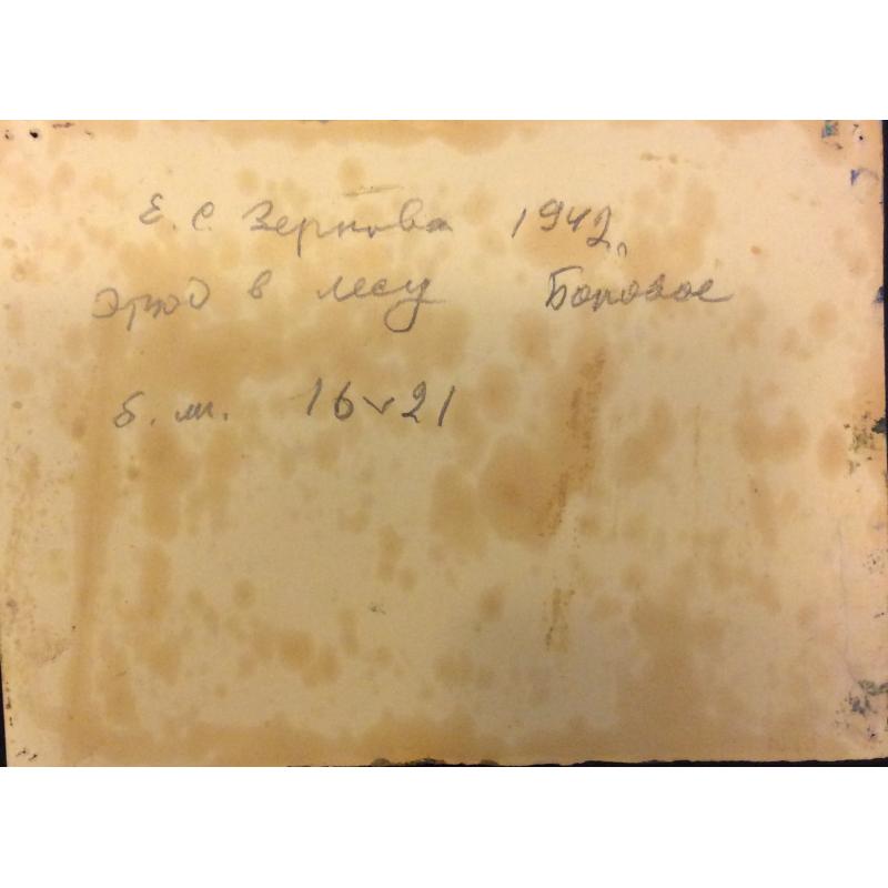 Зернова Е. С. Этюд в лесу. Боровое