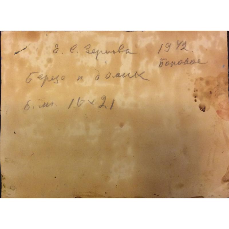 Зернова Е. С. Береза и домик. Боровое