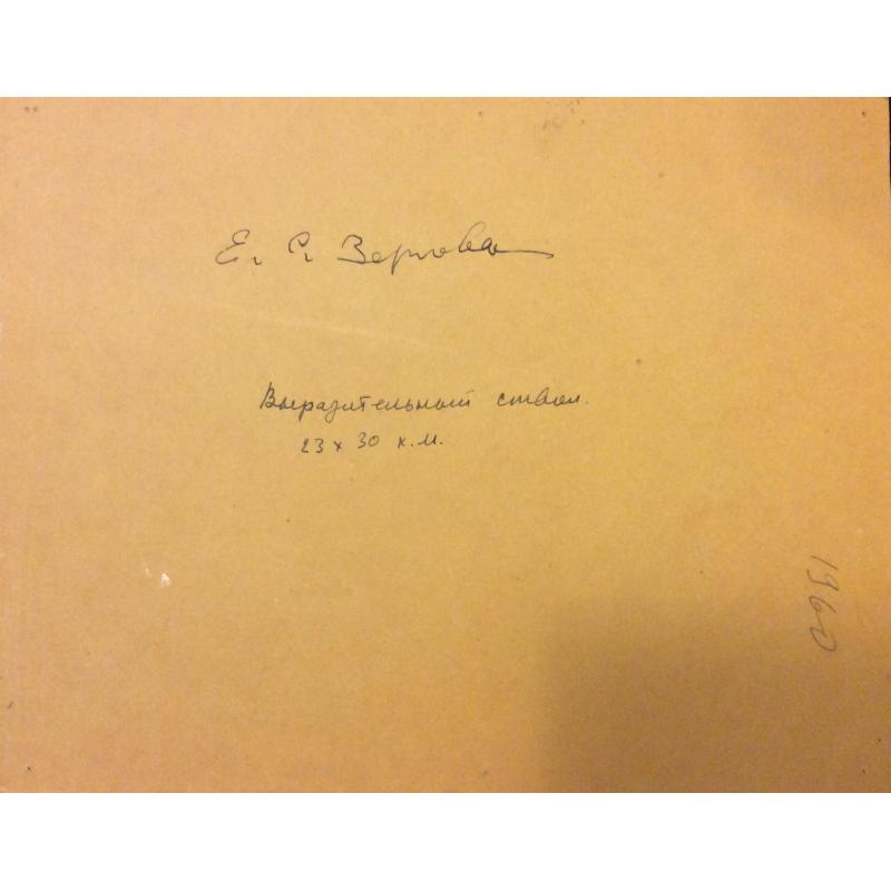 Зернова Е. С. Выразительный ствол