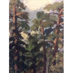 Зернова Е. С. Сосны