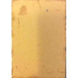 Зернова Е. С. Сосны