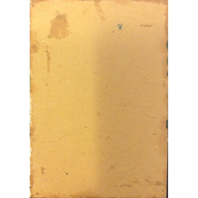 Зернова Е. С. Сосны