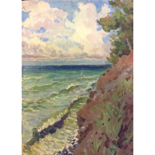 Зернова Е. С. Обрыв к морю. Хоста