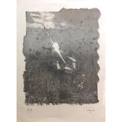 Купер (Куперман) Ю.Л. Бабочка