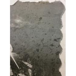 Купер (Куперман) Ю.Л. Бабочка