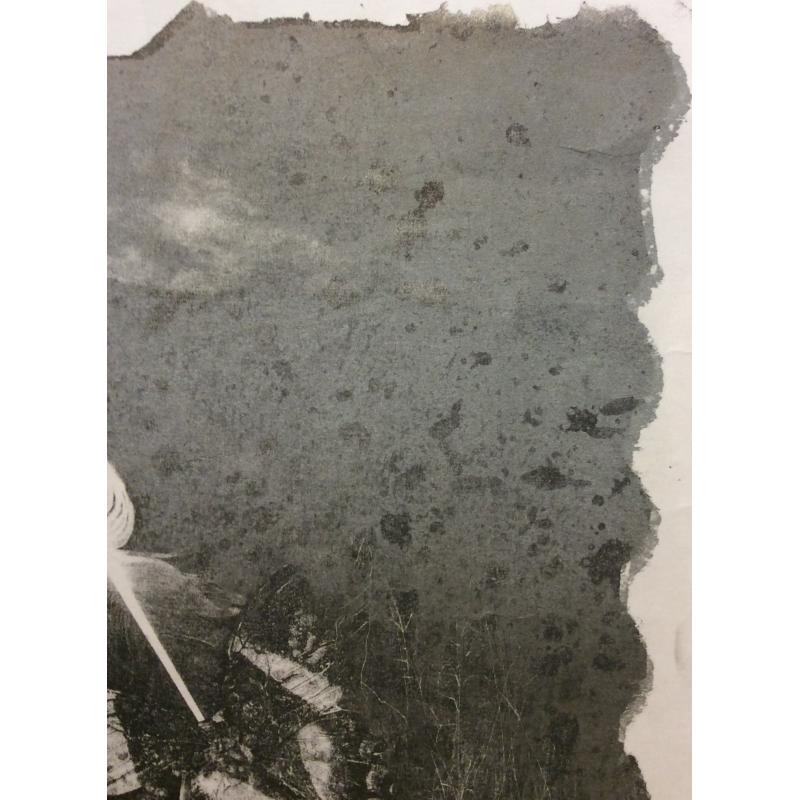 Купер (Куперман) Ю.Л. Бабочка