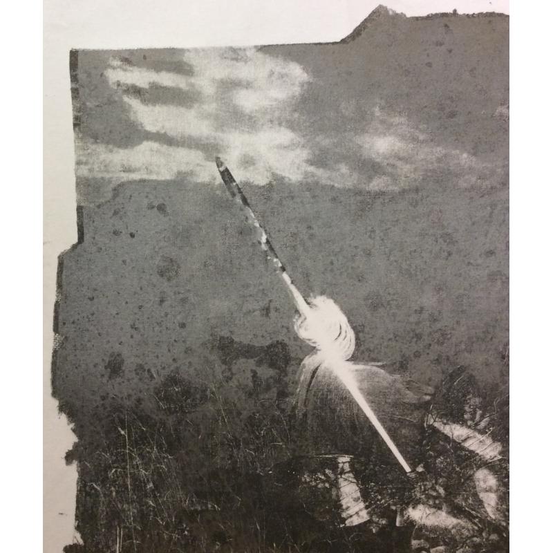 Купер (Куперман) Ю.Л. Бабочка