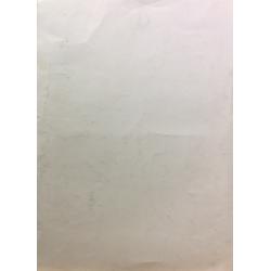 Купер (Куперман) Ю.Л. Бабочка