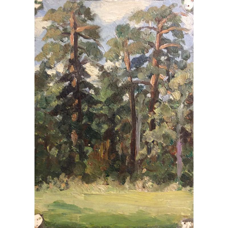 Зернова Е. С. Сосны