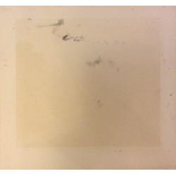 Ванеев П.И. Две вершины