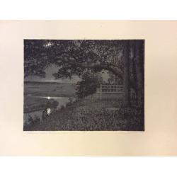 Ванеев П.И. Пушкинские места. Тригорское. Скамья Онегина