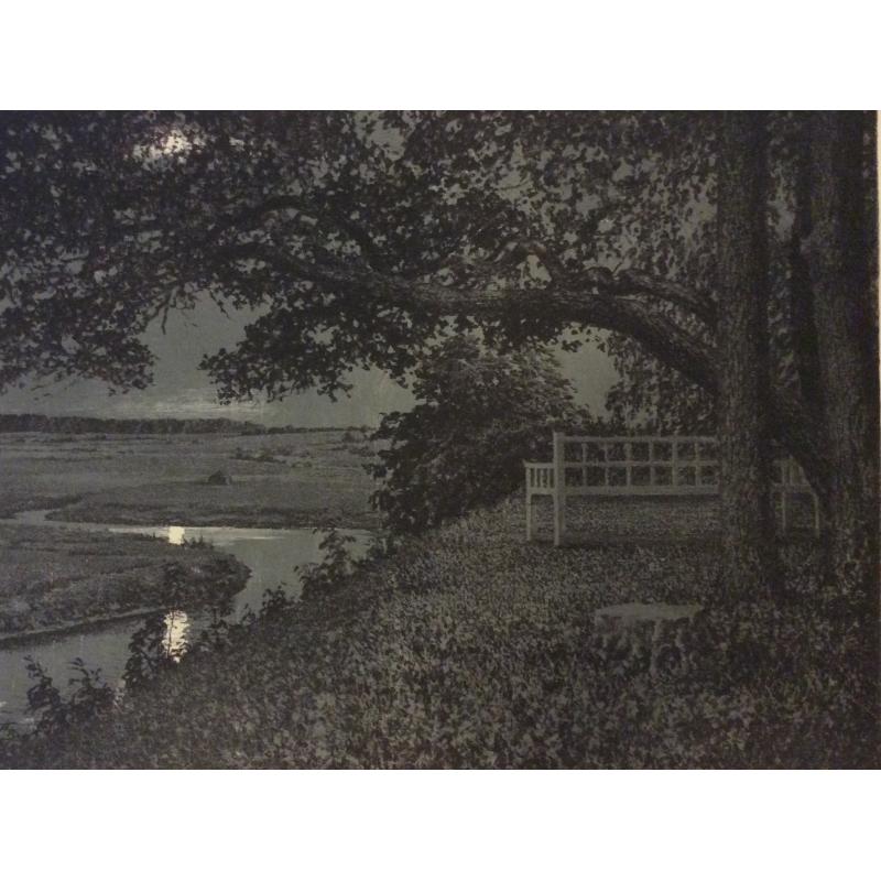 Ванеев П.И. Пушкинские места. Тригорское. Скамья Онегина