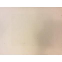 Ванеев П.И. Пушкинские места. Тригорское. Скамья Онегина