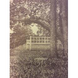 Ванеев П.И. Пушкинские места. Тригорское. Скамья Онегина