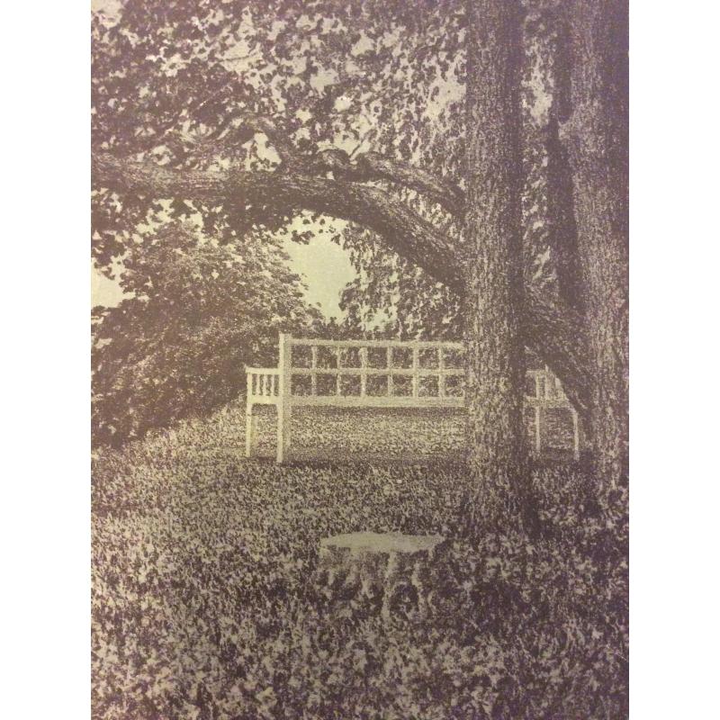 Ванеев П.И. Пушкинские места. Тригорское. Скамья Онегина