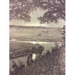 Ванеев П.И. Пушкинские места. Тригорское. Скамья Онегина