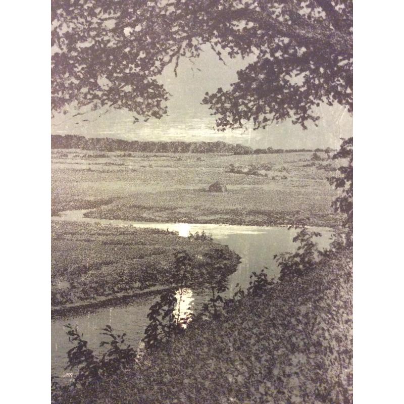 Ванеев П.И. Пушкинские места. Тригорское. Скамья Онегина