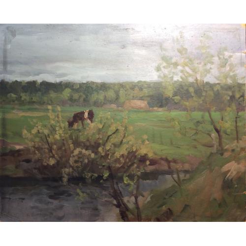 Васин В.А. Зеленые луга