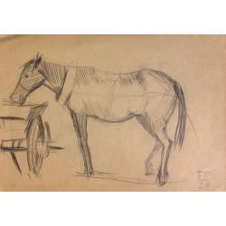 Попов Б.Н. Лошадка