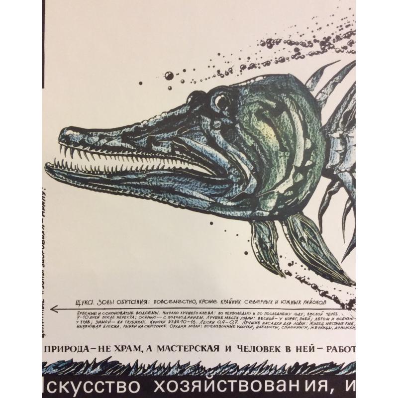 Черенов В.Г., Решетов А.А., Козлов В. Плакат Плещутся щуки в лимане из серии плакатов Плакат - перестройке