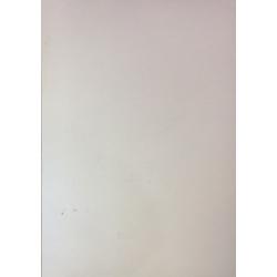 Хамдамов Р.У. Портрет дамы