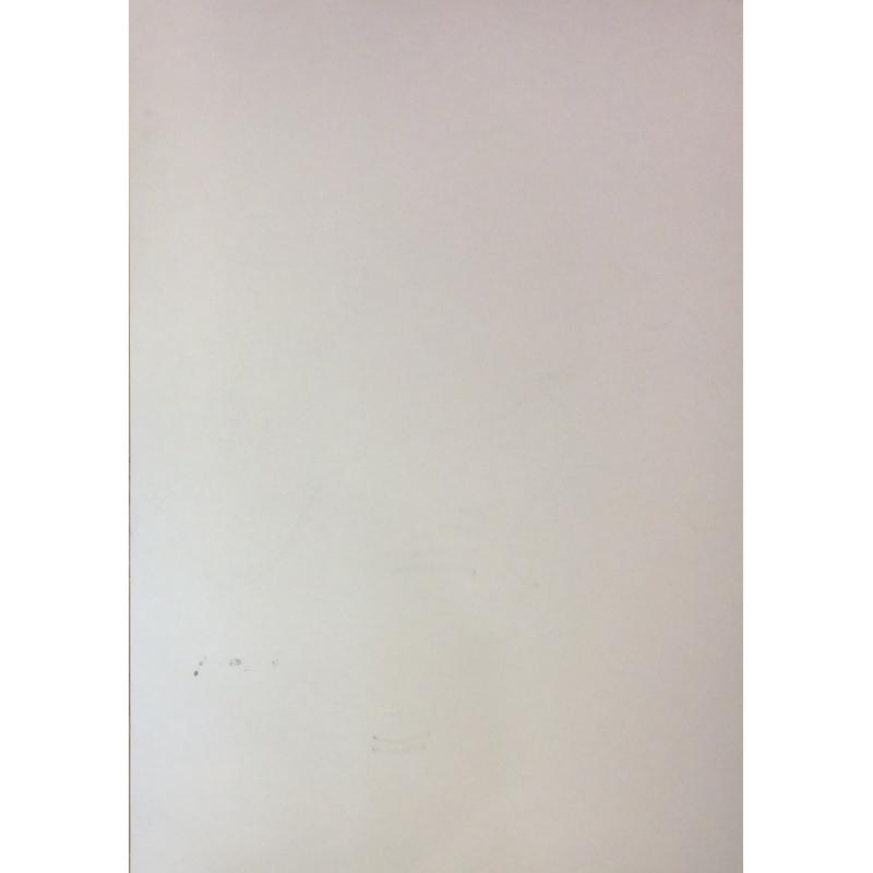 Хамдамов Р.У. Портрет дамы