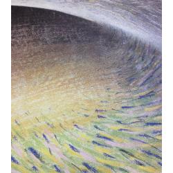 Белоусов С. Плакат Береги растительный покров из серии плакатов Плакат - перестройке