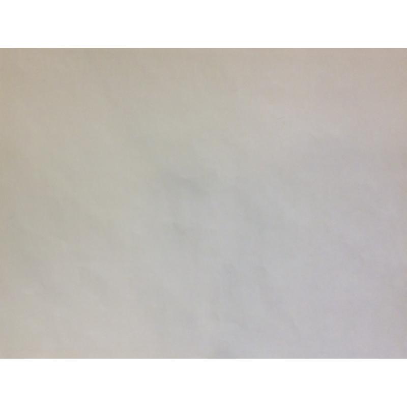 Белоусов С. Плакат Береги растительный покров из серии плакатов Плакат - перестройке