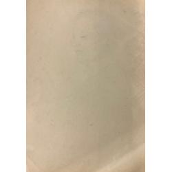 Гиппиус Н. А. Мужской портрет в профиль