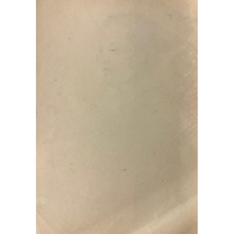 Гиппиус Н. А. Мужской портрет в профиль