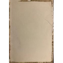 Гиппиус Н. А. Женский портрет