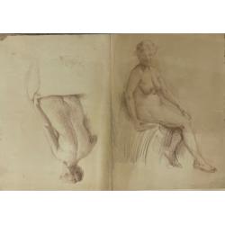 Шлепнёв В.С. Верный друг