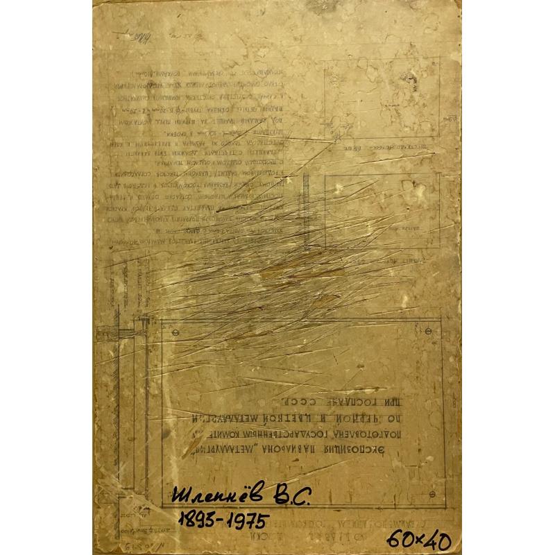 Шлепнёв В.С. В парке