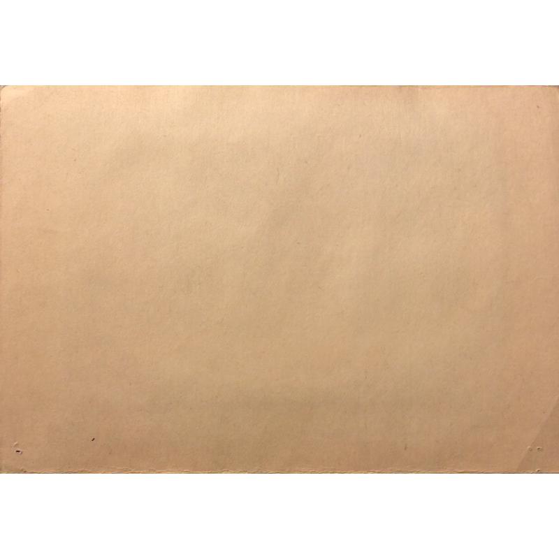 Афанасьева Е. А. Карта мира