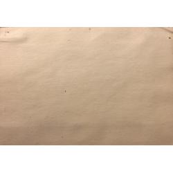 Афанасьева Е. А. Водолазы и амфоры