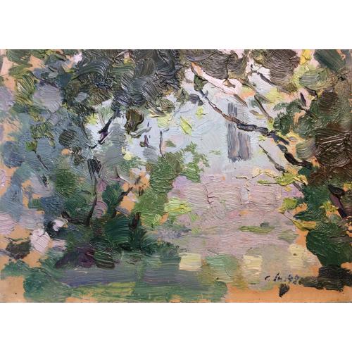 Шишко С. Ф. Солнечный день