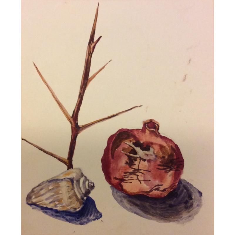 Барвенко В.П. Гранат и раковина