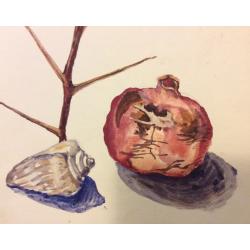 Барвенко В.П. Гранат и раковина