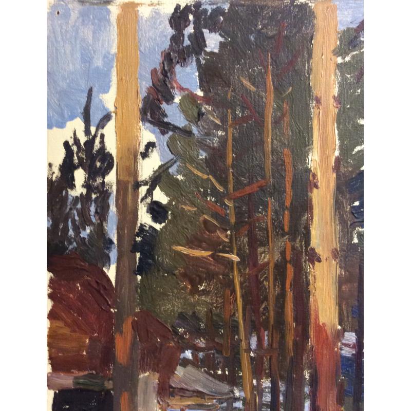 Зернова Е. С. Дача в лесу