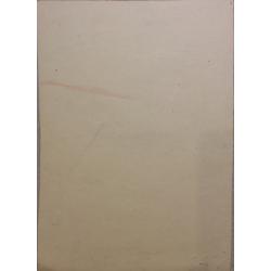 Яковлева Ю. Иллюстрация для книжной обложки