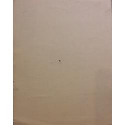 Яковлева Ю. Иллюстрация к одной из сказок про Ивана-царевича