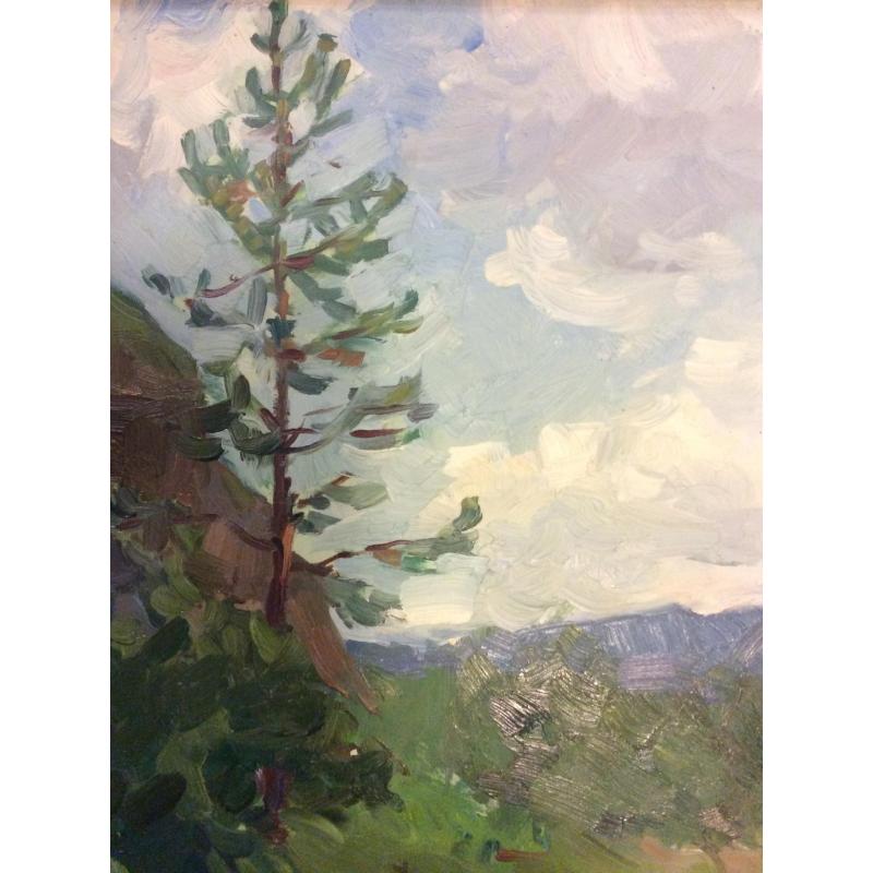 Дехтерева Т.А. Сибирь