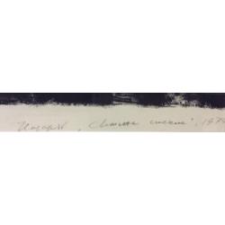 Назаров К.Б. Светлые стёкла