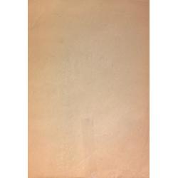 Зернова Е. С. Мужчина со спины