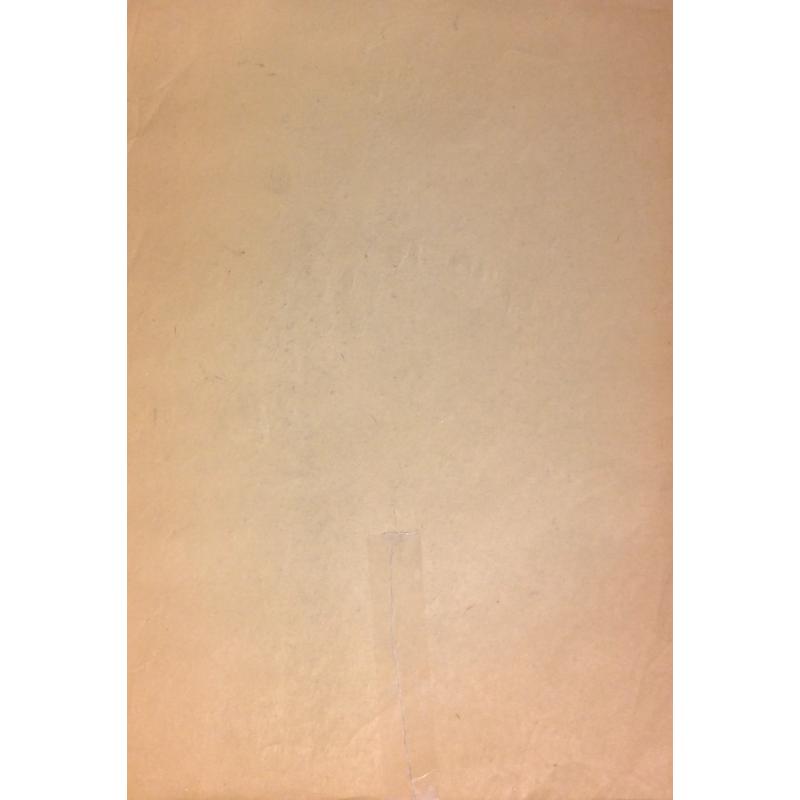 Зернова Е. С. Мужчина со спины