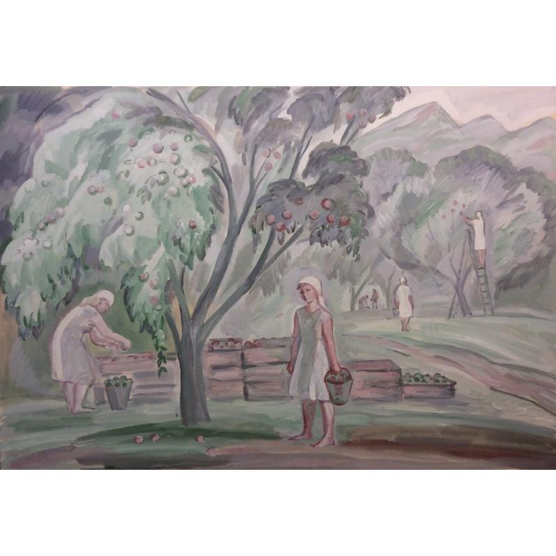 Пискарева А. Н. Сбор яблок