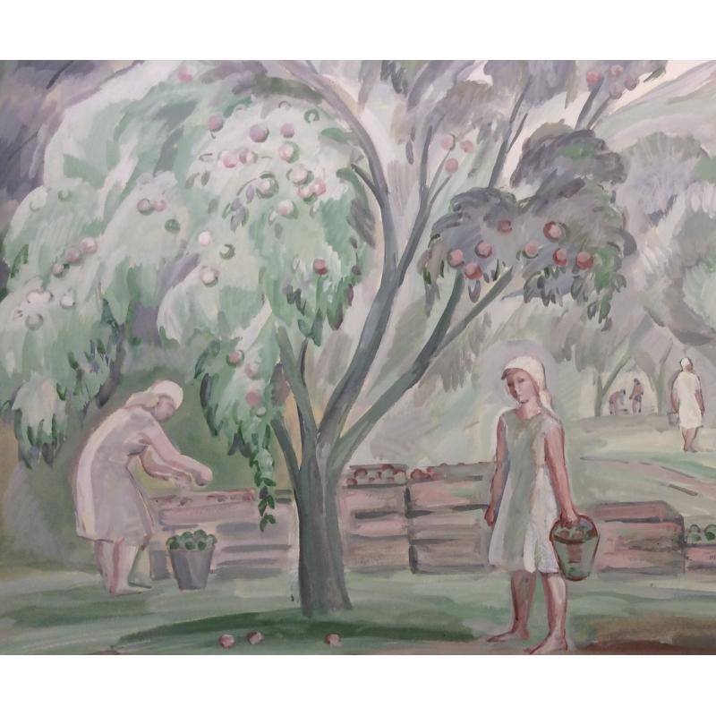 Пискарева А. Н. Сбор яблок