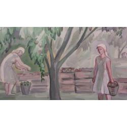 Пискарева А. Н. Сбор яблок