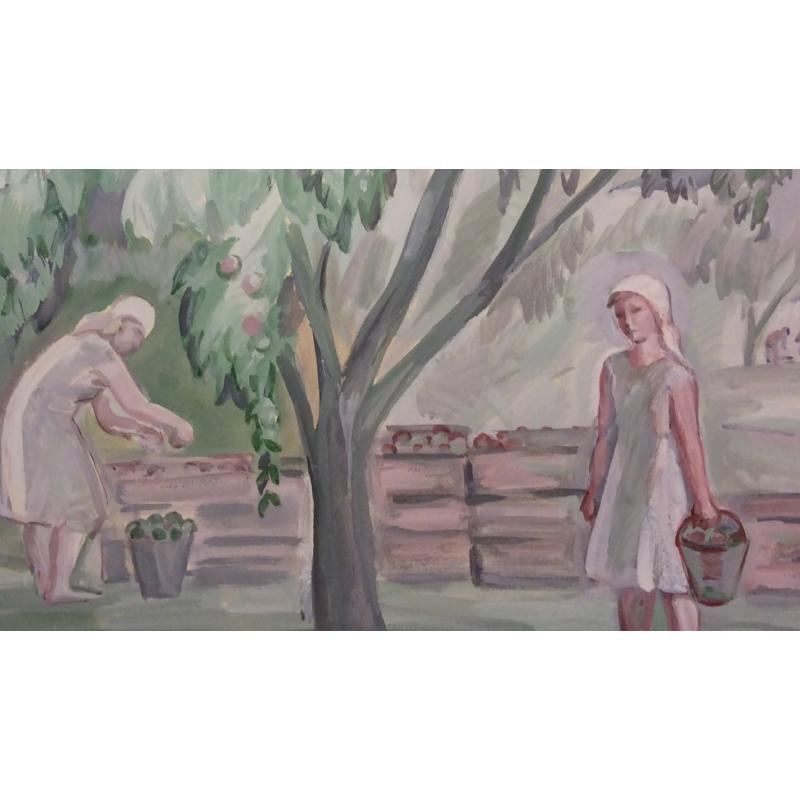 Пискарева А. Н. Сбор яблок