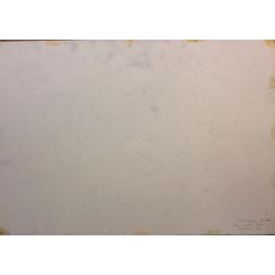 Пискарева А. Н. Сбор яблок